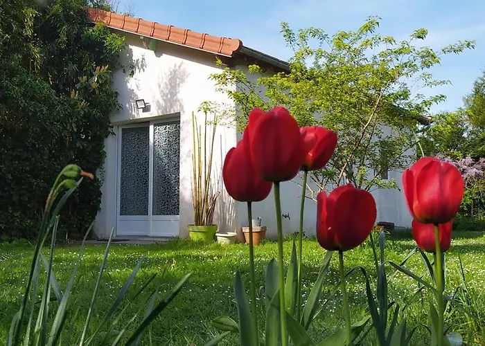 La Petite Maison