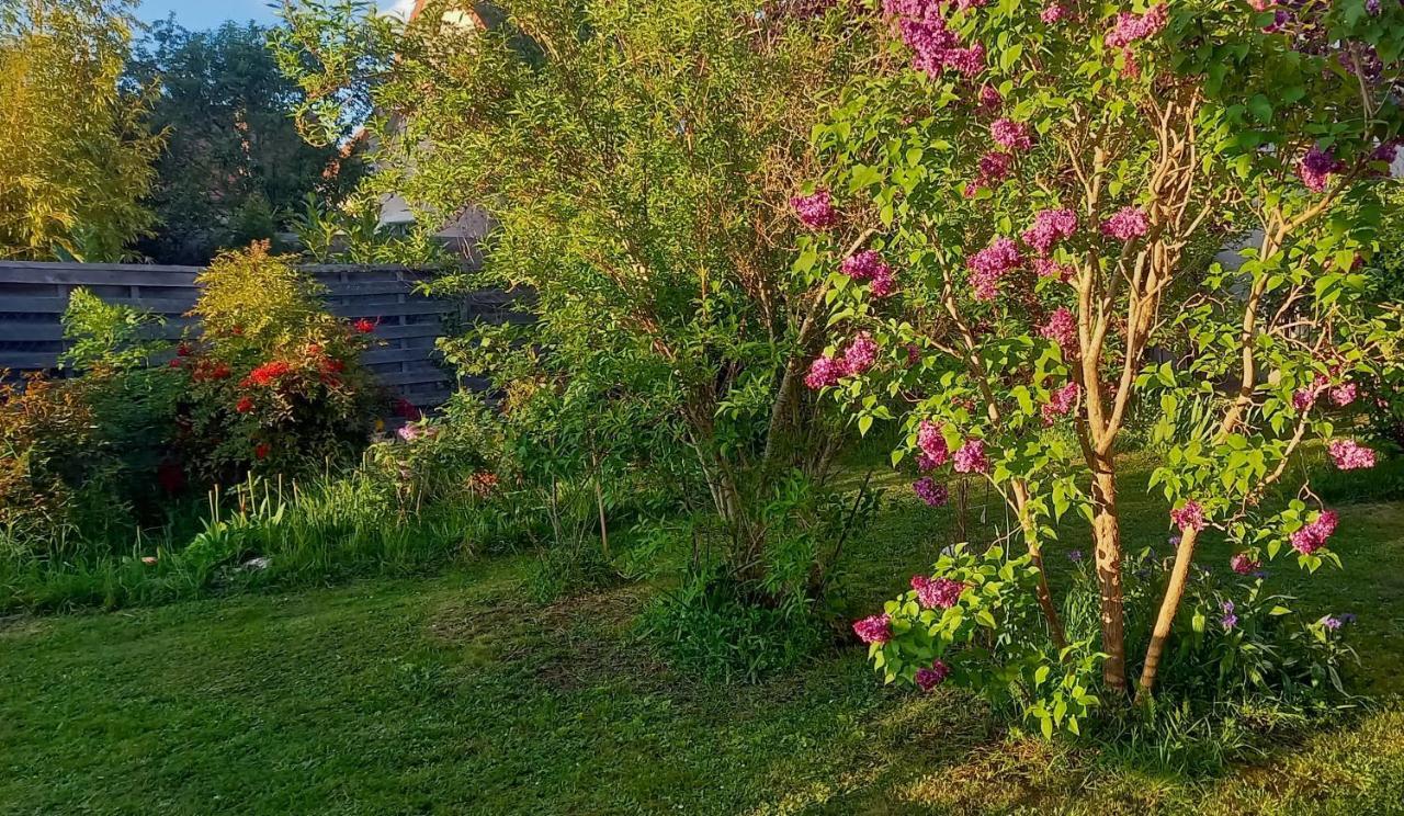 Holiday home La Petite Maison Saint-Remy-les-Chevreuse