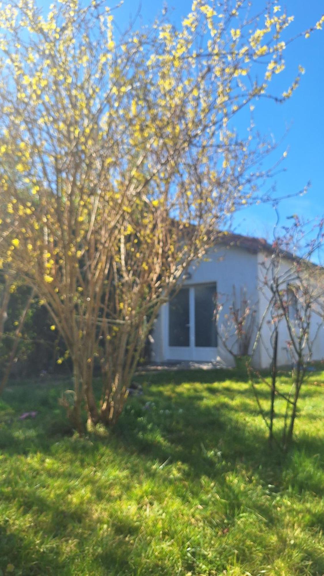 La Petite Maison *